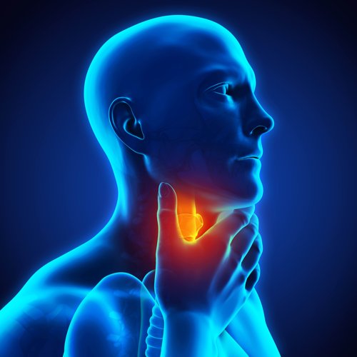 Adroterapia per i tumori della testa e del collo: l’esperienza di CNAO