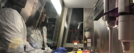 Помогите исследованиям