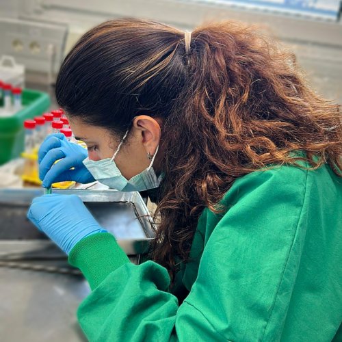 Progetto CROSS: L'Efficacia della Sequenza Ioni Carbonio - Fotoni per i tumori radioresistenti